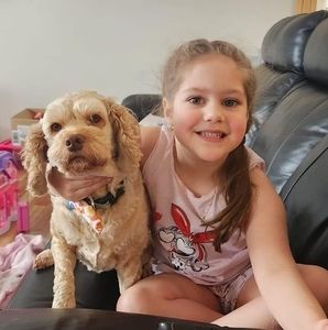 Meet your Posher, André